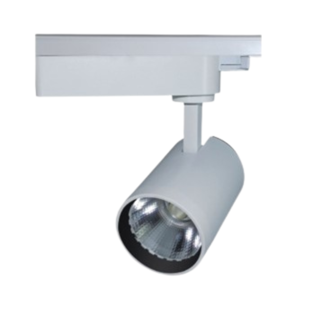 TR - 010